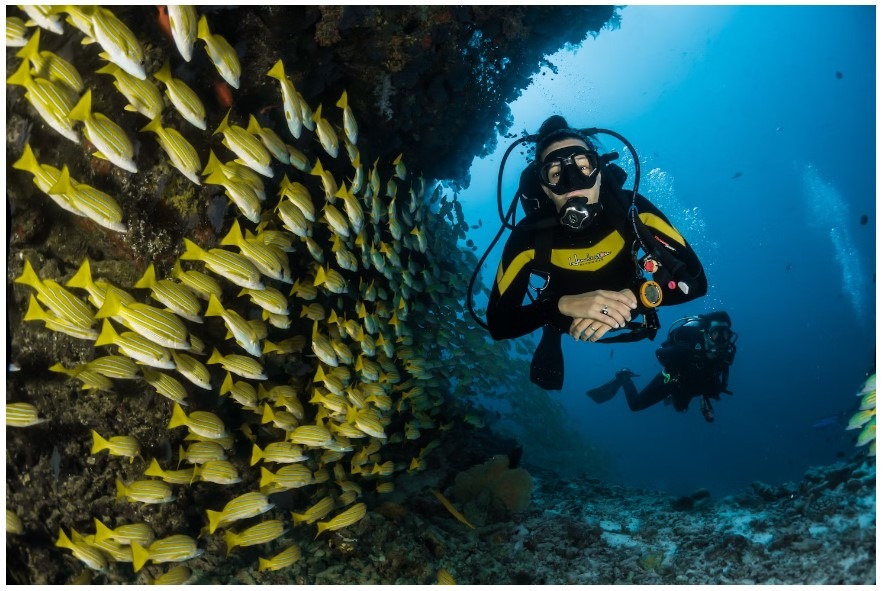 The Process of Cave Diving
