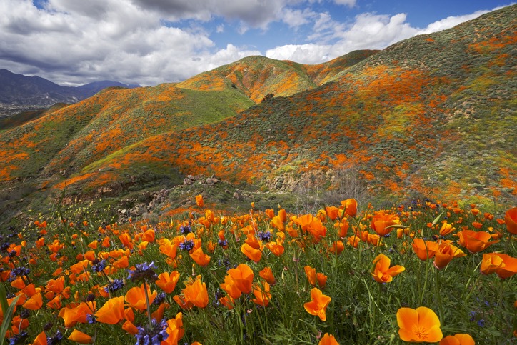 Lake Elsinore, California