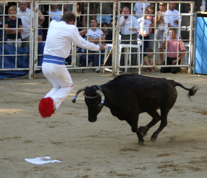 Bull Leaping