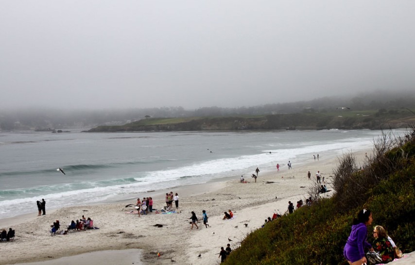 Carmel Bay on a foggy afternoon